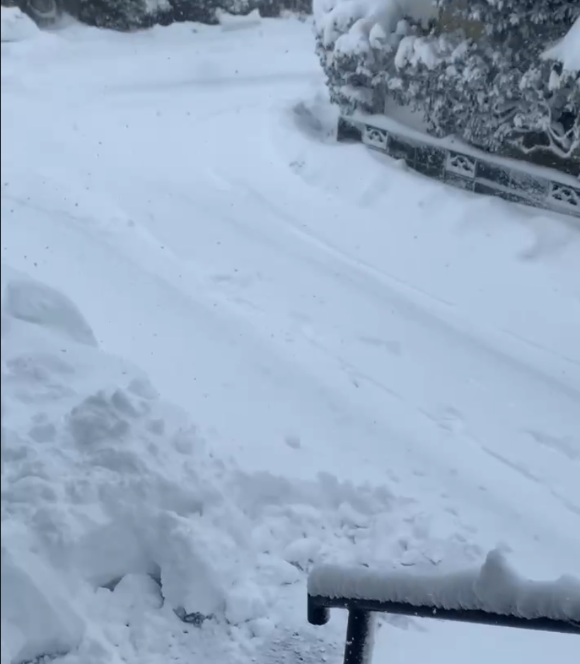 （不動産売却　鳥取市）あの「50㎝の大雪」こそ、あなたの家が輝くチャンス。鳥取市で後悔しない不動産売却のポイント